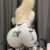 Ankara Yeni Escort Zilena - Image 5